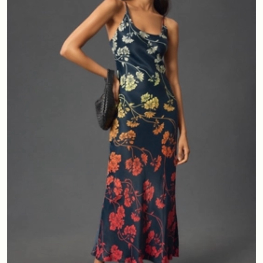 Anthropologie Navy and Multicolor Floral Midi Dress